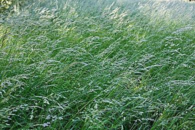 外媒称《星战亡命之徒》跟《黑神话》没法比 热度差太多